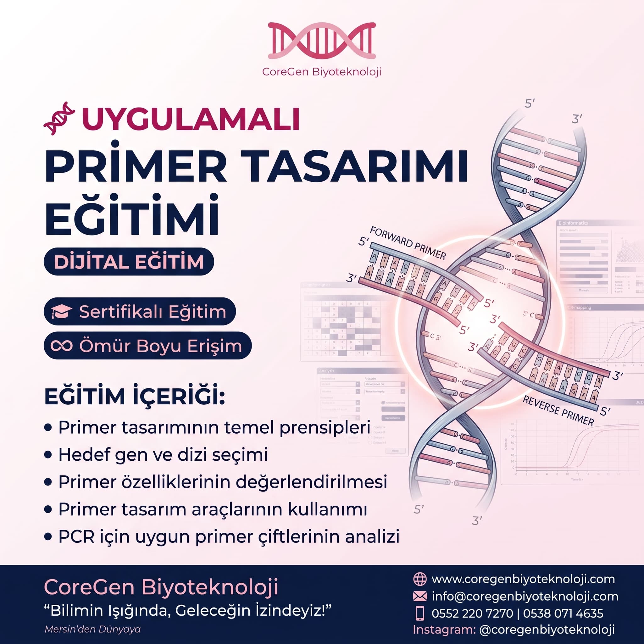 Uygulamalı Primer Tasarımı Eğitimi